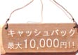 ヤフービービー申込み